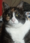 Avatar du membre